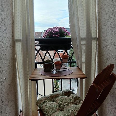 Apartman Element Kruševac المظهر الخارجي الصورة
