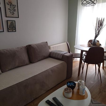 Apartman Element Kruševac المظهر الخارجي الصورة
