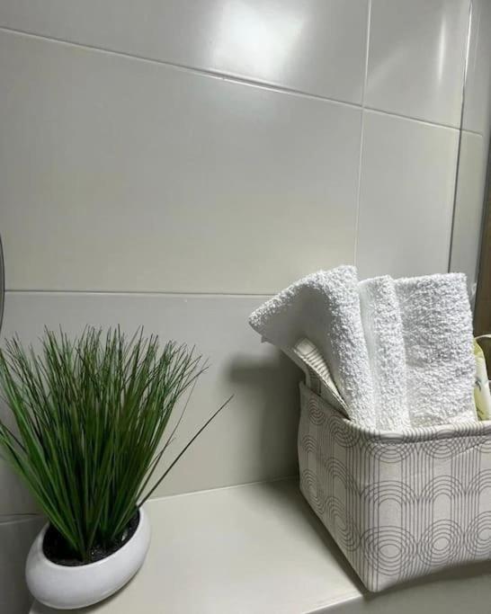Apartman Element Kruševac المظهر الخارجي الصورة