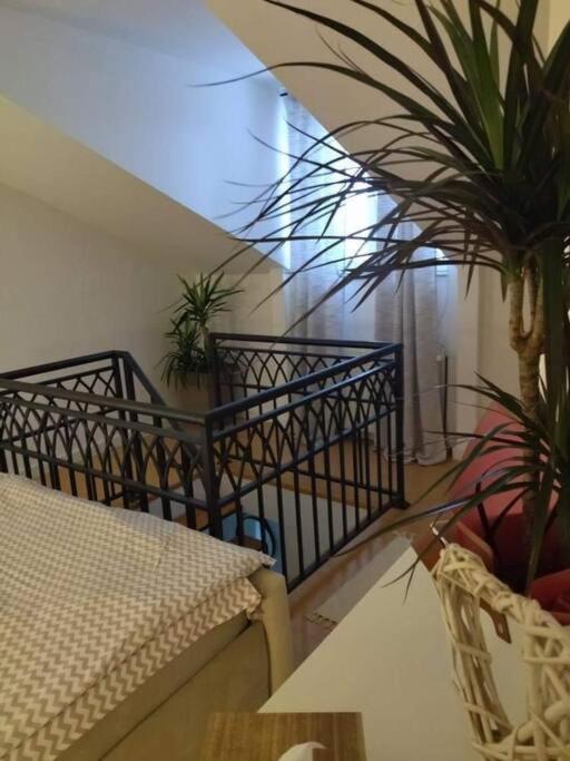 Apartman Element Kruševac المظهر الخارجي الصورة