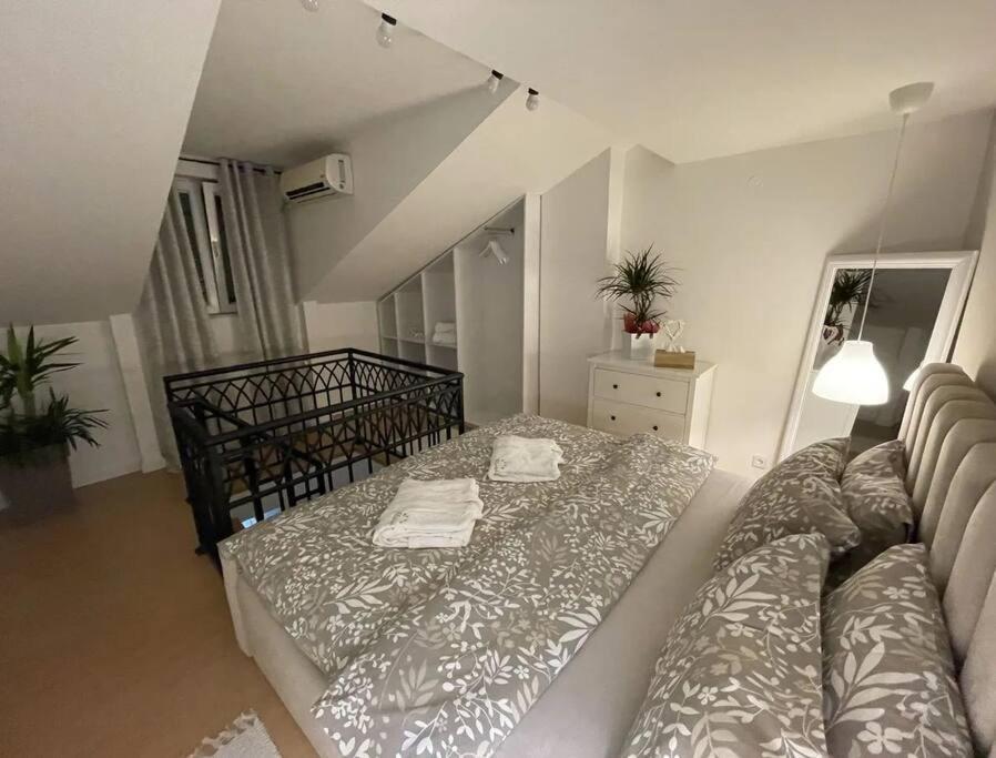 Apartman Element Kruševac المظهر الخارجي الصورة